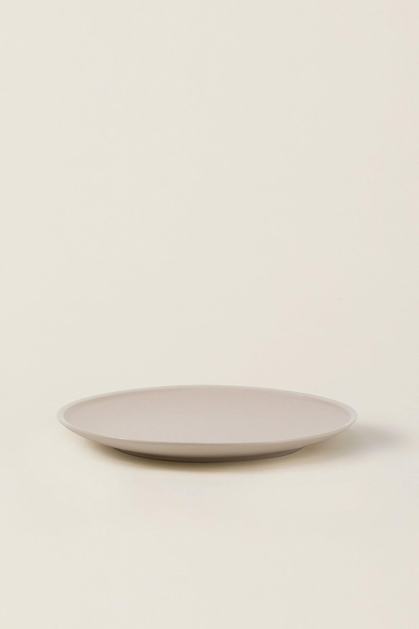 Matte Ceramic Dinner Plates (Set of 4) - eggshell white