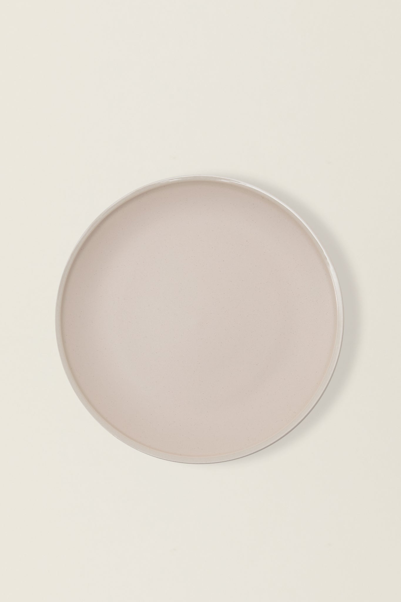 Matte Ceramic Dinner Plates (Set of 4) - eggshell white