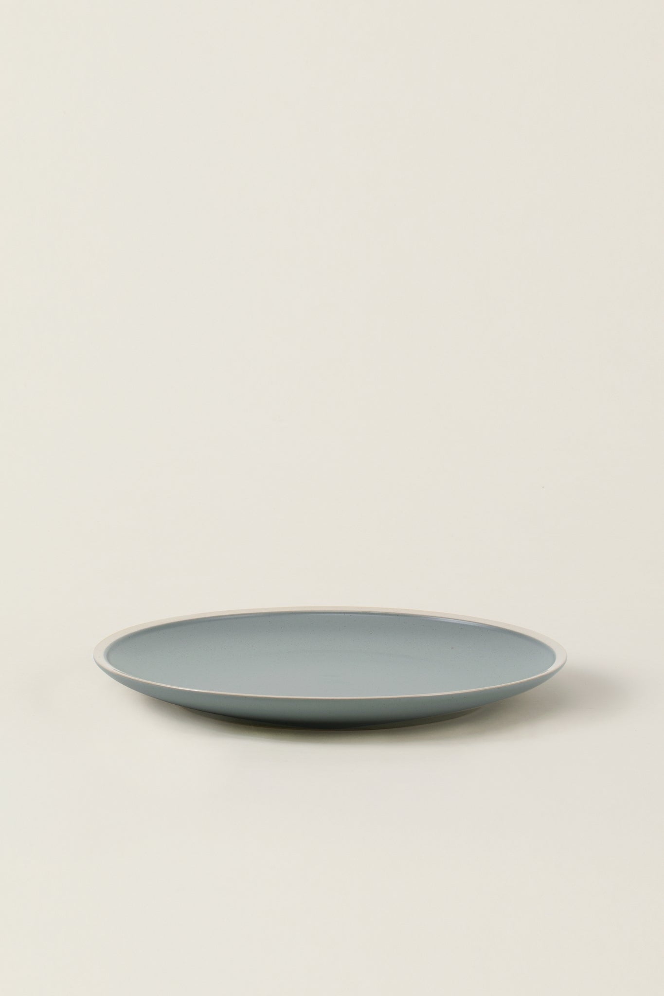 Matte Ceramic Dinner Plates (Set of 4) - sage green