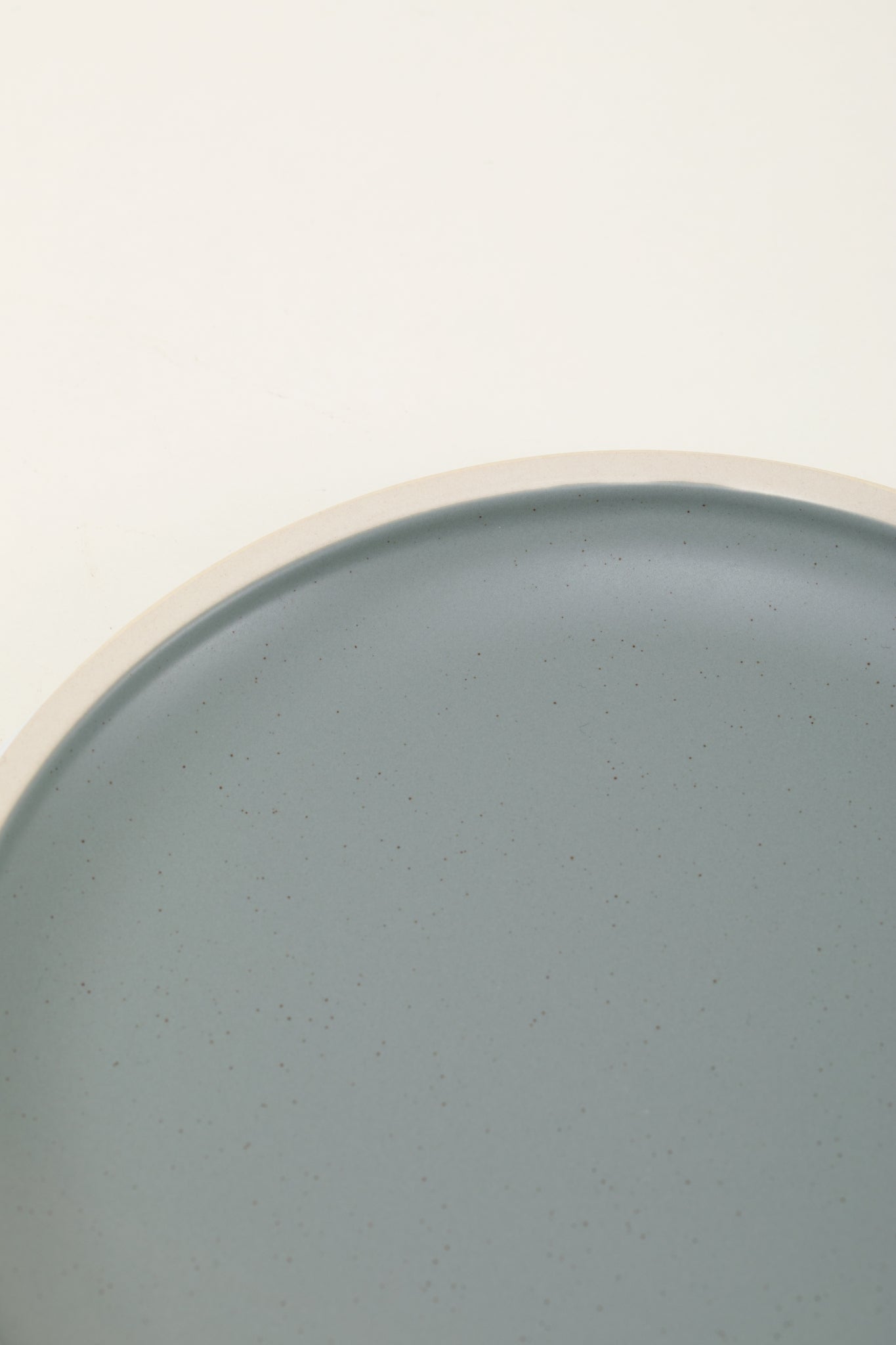 Matte Ceramic Dinner Plates (Set of 4) - sage green
