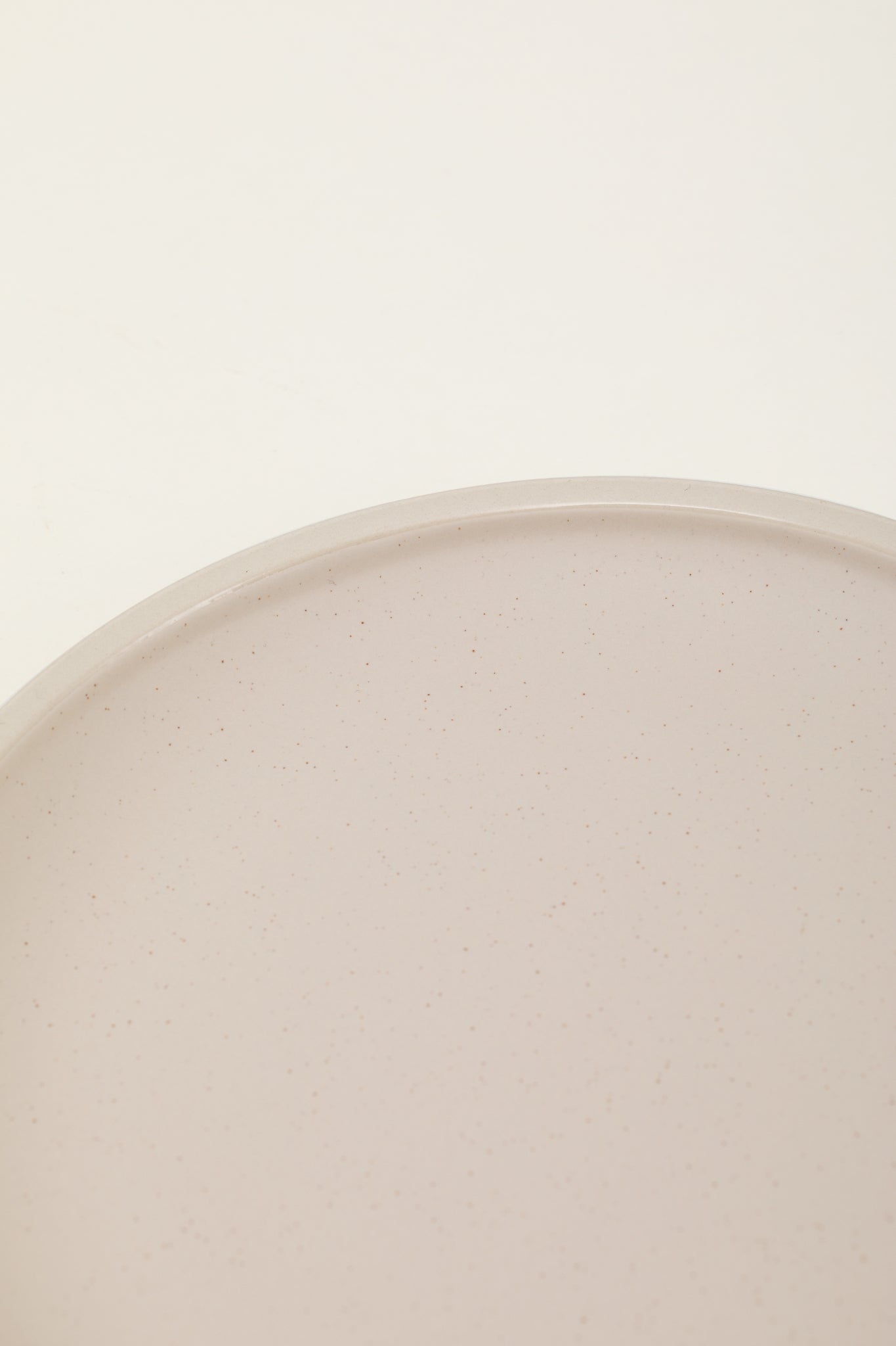 Matte Ceramic Dinner Plates (Set of 4) - eggshell white
