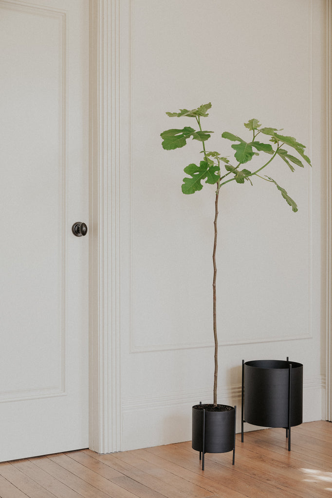 black plant pot with wooden stand Small Black Botanic Plant Pot with Stand | Modern Fall Style