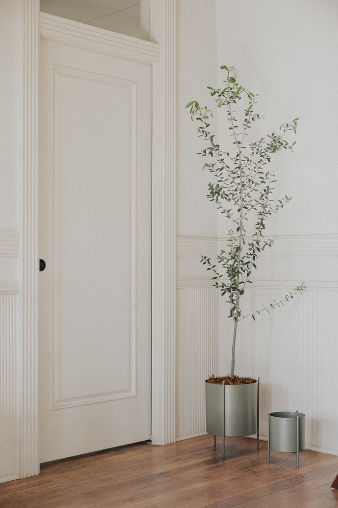 white standing plant pot Large Green Botanic Plant Pot with Stand | Fall Planter
