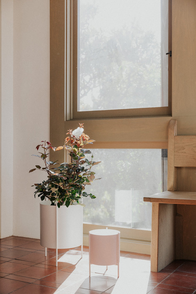 large planter pots with stand Large White Botanic Plant Pot with Stand | Autumn Statement